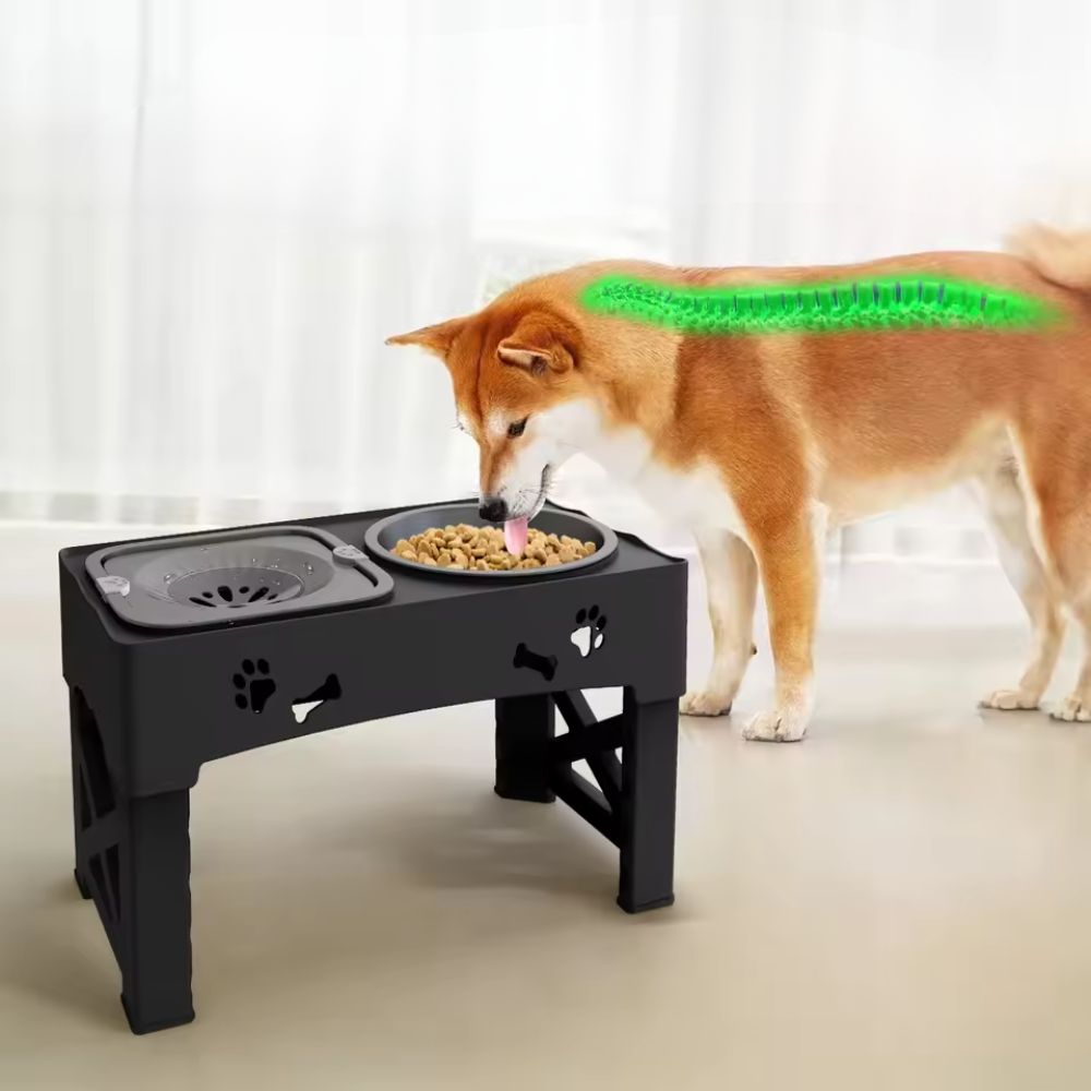FlowBowl™ – Ciotola regolabile per cani e gatti con doppio scomparto e filtro anti-schizzi