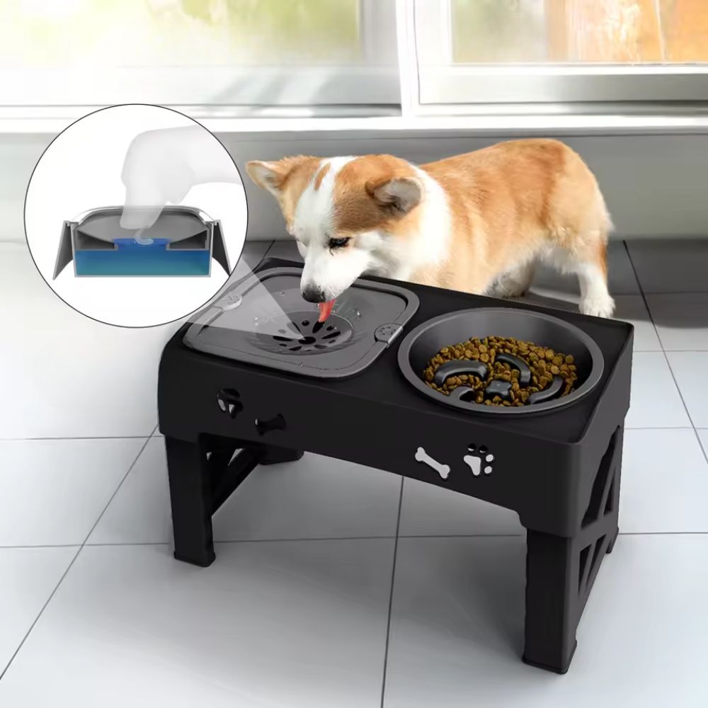 FlowBowl™ – Ciotola regolabile per cani e gatti con doppio scomparto e filtro anti-schizzi
